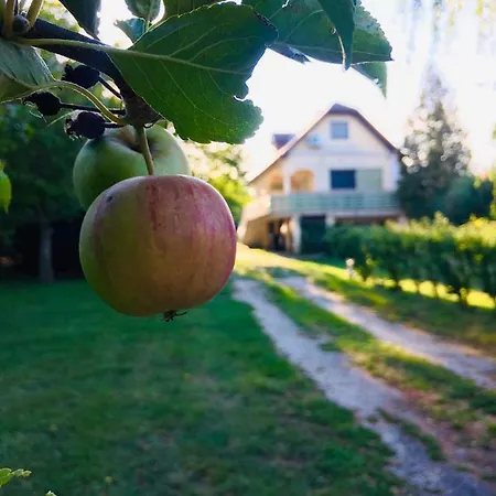 Csendes Vendeghaz, Families, Hikers & Bikers Σπίτι διακοπών *