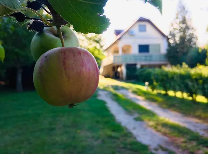 Csendes Vendeghaz, Families, Hikers & Bikers בית נופש *